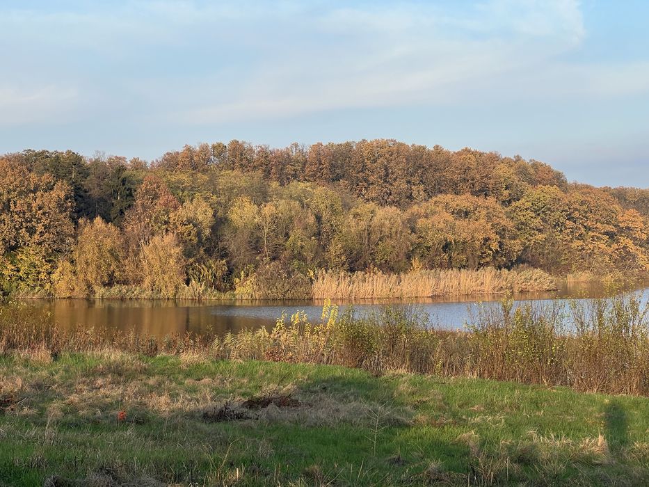 Teren Gradistea lac Caldarusani