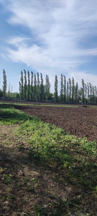 Земля в аренду посев сад огород