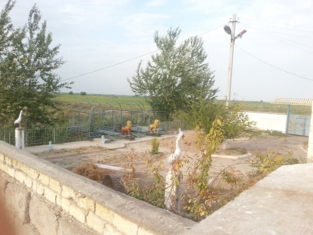 63 сотки Куйи-Чирчик