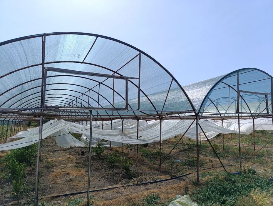 Продается теплица изготовлена из материала контейнера