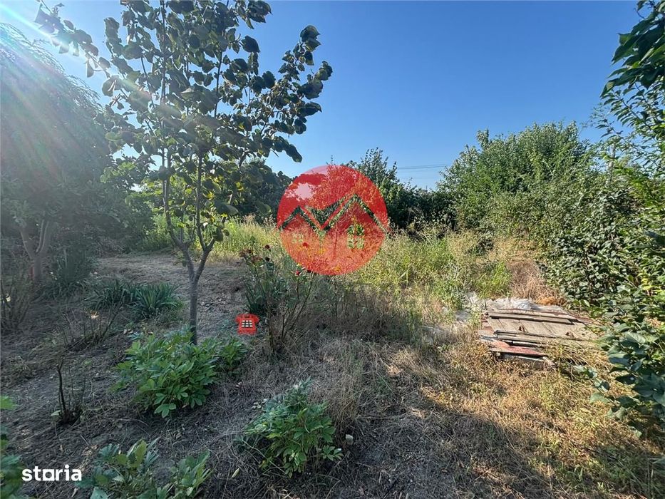 Casa batraneasca de vanzare in Iazurile, teren 1.257 mp