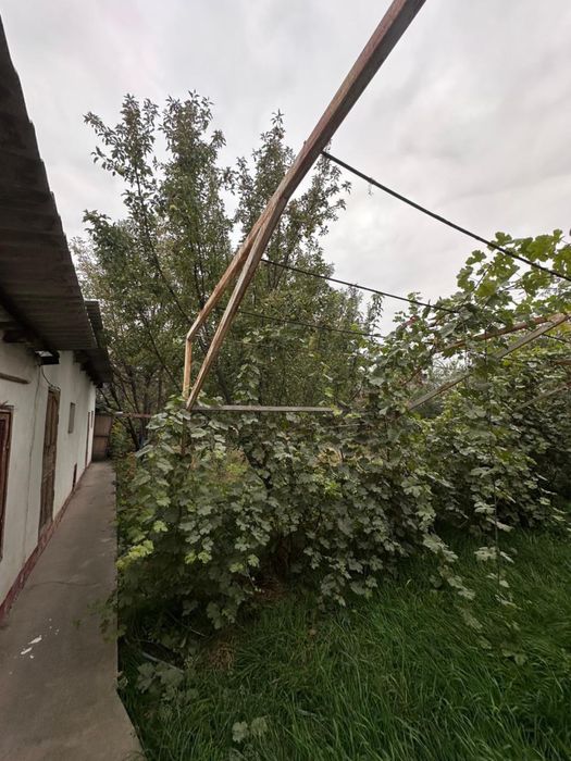 Продам дом в Кизе-Алмалыбак