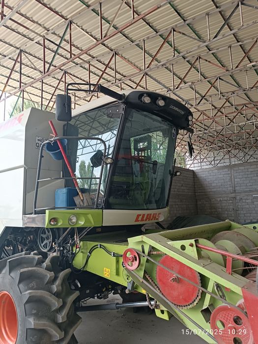 Dominator 260 yangi Kambayini