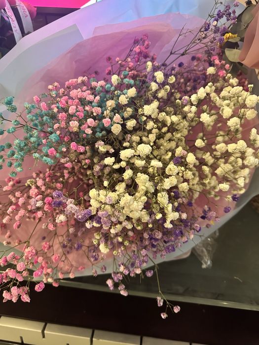 Цветы свежие, красивые, цветные