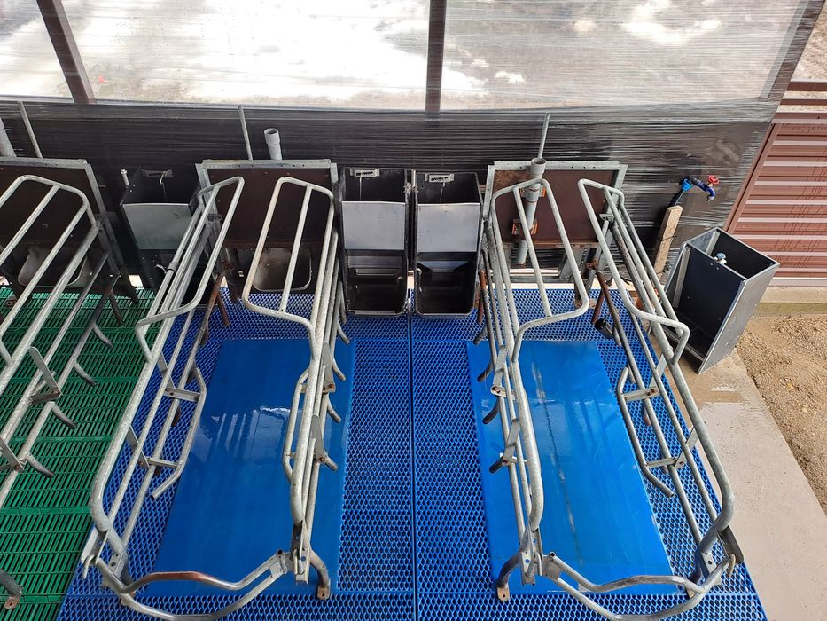 Hrănitoare Adepatoare Porci și Purcei Boxa Fatare Grătare din Fontă