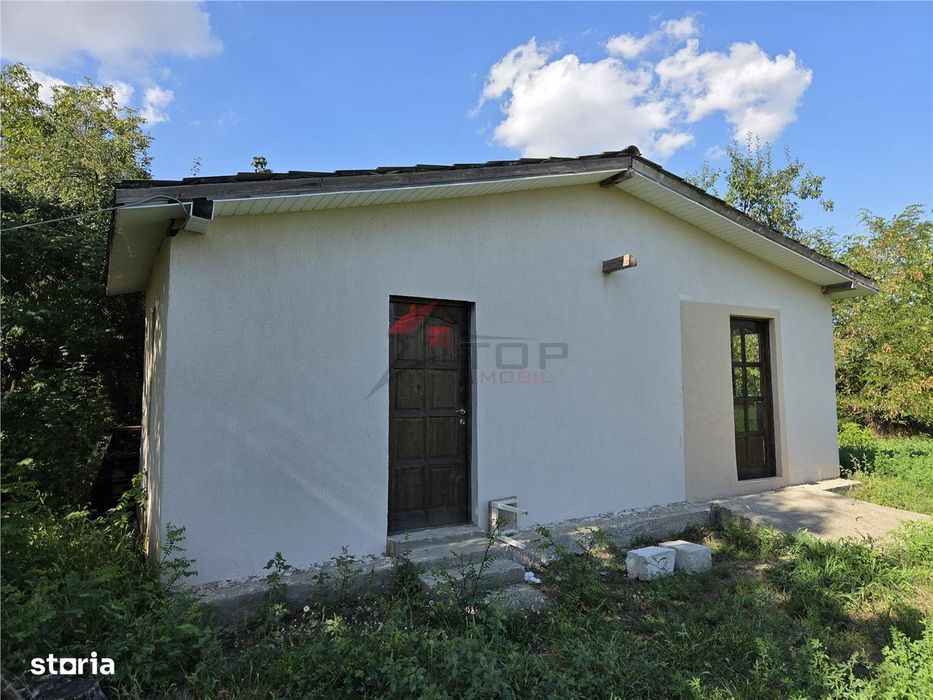 Teren 905MP - Popricani