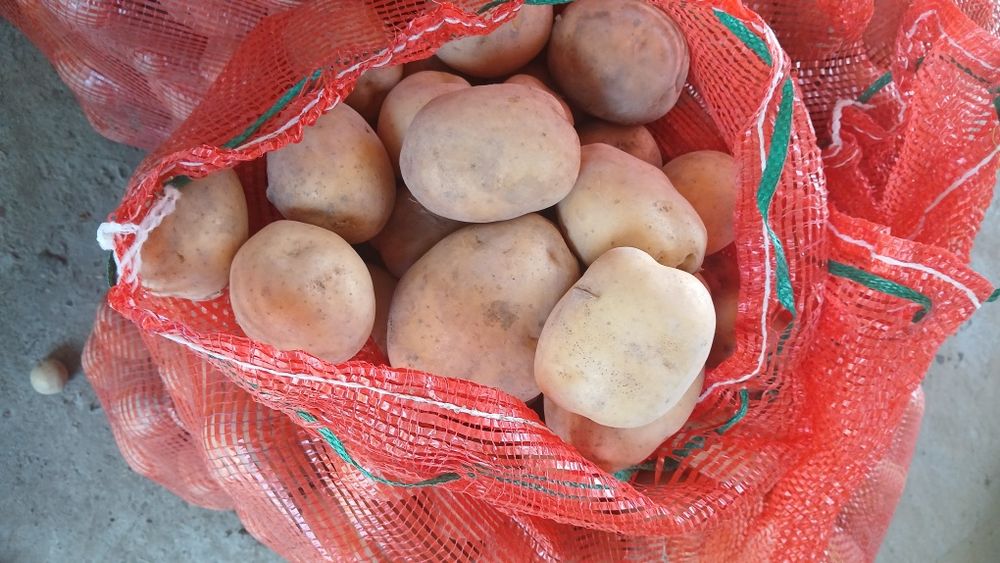 Продам картошку 150 тг за кг