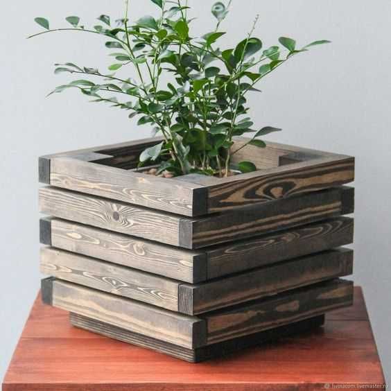 Декоративный цветник