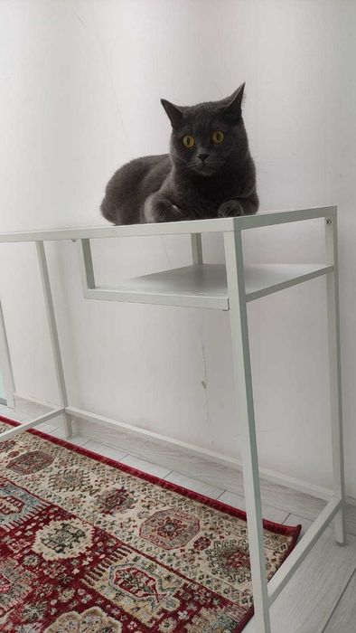 столик стеклянный