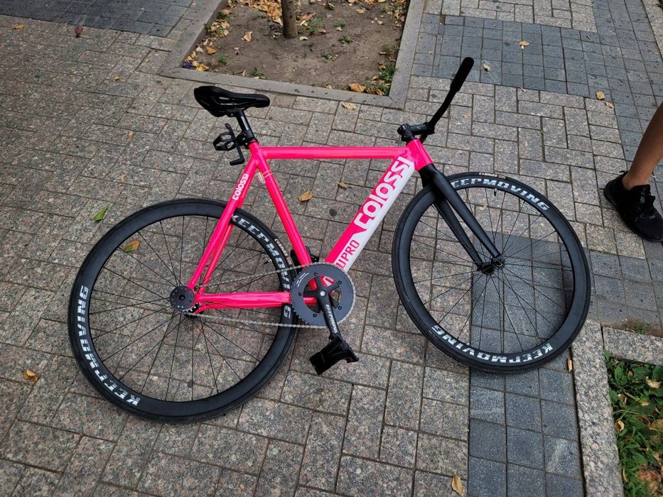 Colossi low  pro