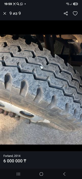 Самасвал китаец 3х тоник