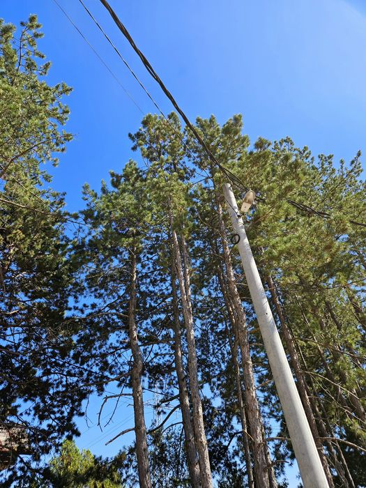 Продава се Къща в с. Войнеговци, Област София-град - 100 кв.м за 1500 €/кв.м - Снимка #2