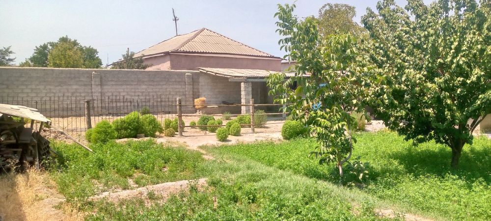 Dekanabat MFY yer sotģ sotladi 4500$