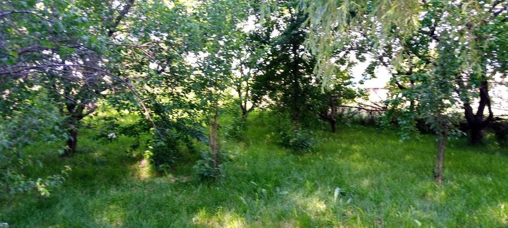 Продам дом  с участком 12 соток