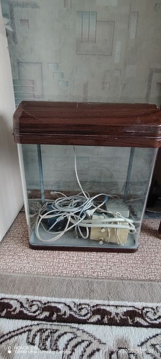 2 аквариума на 240л и на 30л