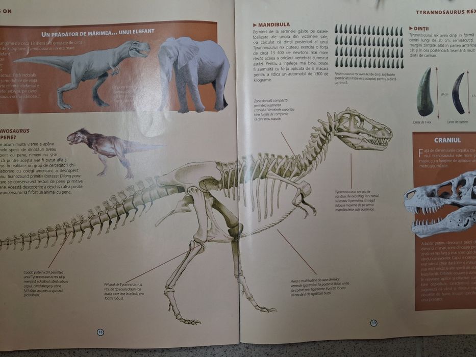 Dinozaur cu piese pentru schelet și  piele