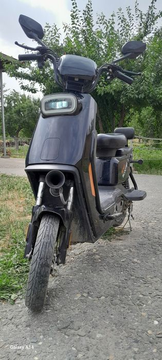 Bonvi skotter holati yaxshi