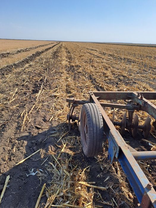 Disc 3.2  pe Rulmenți