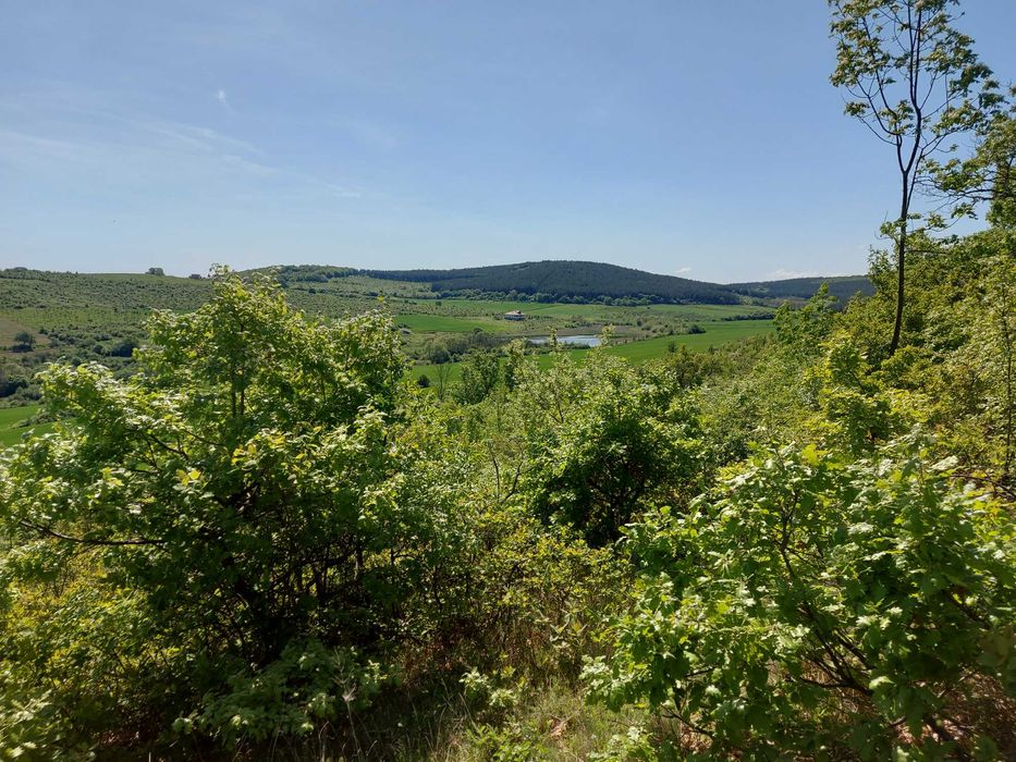 Продава се Парцел в с. Малка Верея, Област Стара Загора - 8537 кв.м за 8 €/кв.м - Снимка #3