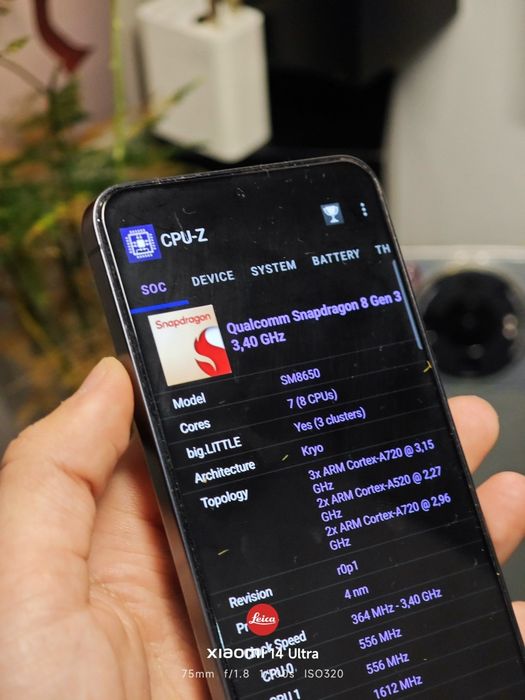 Samsung S24 8/256 Snapdragon Version