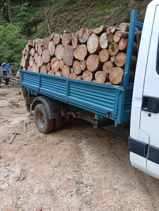 Vând lemn de foc și bustean