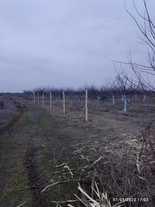 Земеделска земя/Овощна градина