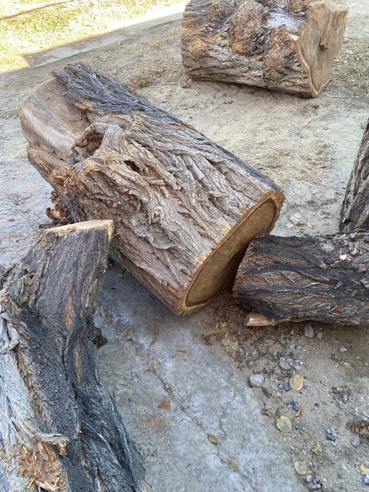 Чурбак ет шабатын сатылады