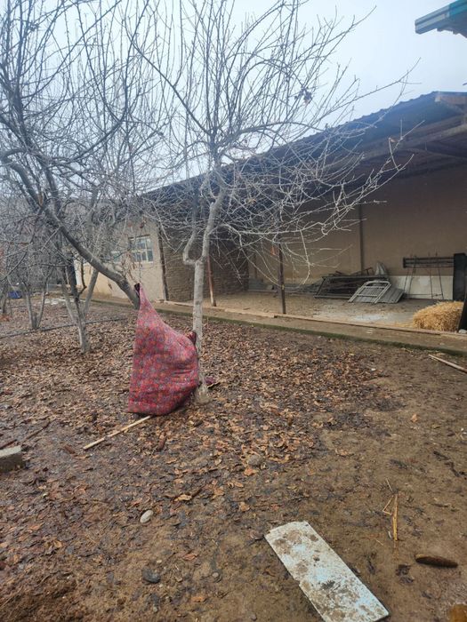 Продаеться свой дачный дом