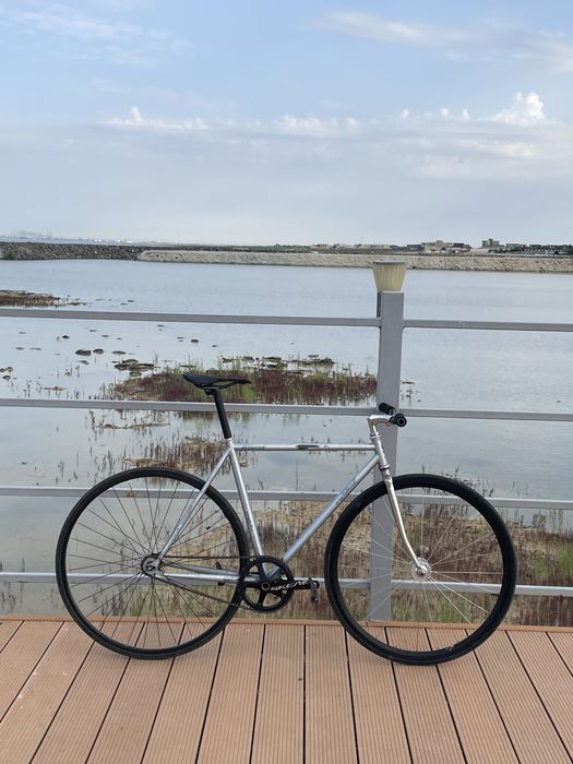 Song&friends fixed gear