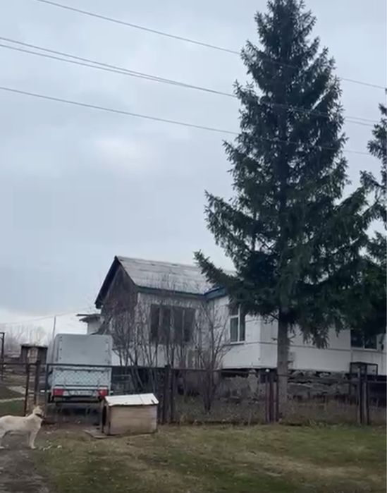 Продам дом в селе Донское ВКО Уланский район