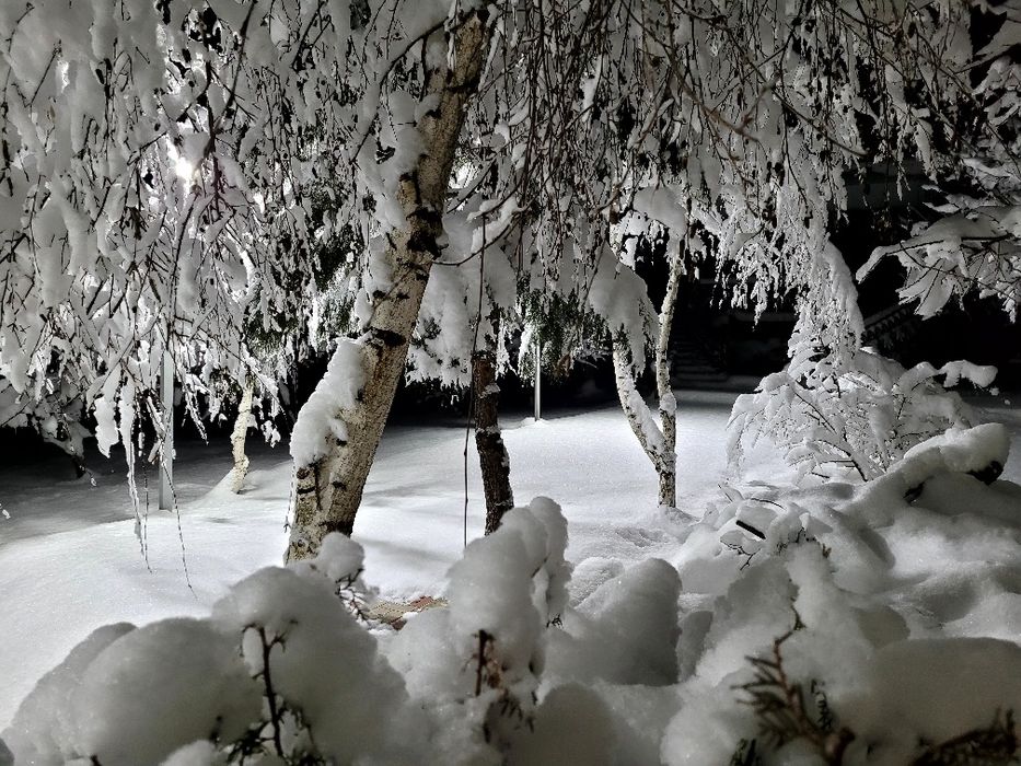 Дача Аренда (Dacha Ijara) посуточно