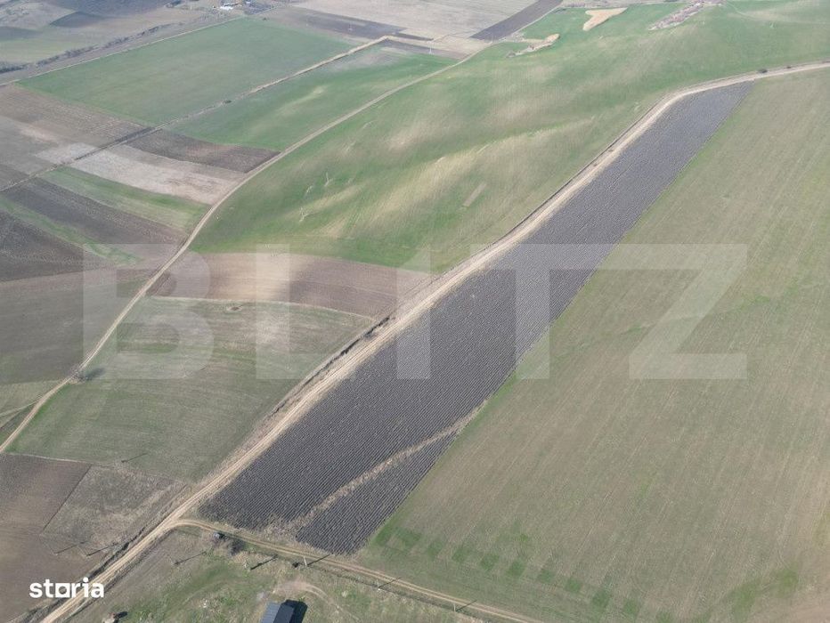 Teren de 4.5ha pretabil pentru panouri fotovoltaice, Dobrovat