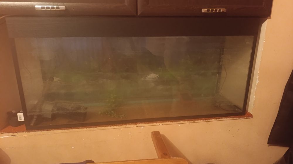 Akvarium baliqlar uchun