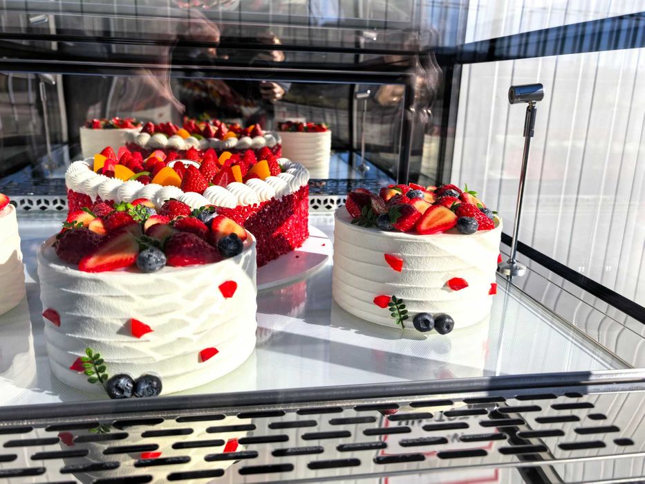 Хладилна витрина 270 литра, CM-900B