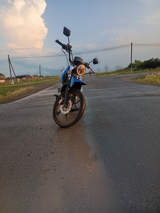 альфа спорт 125 кубов