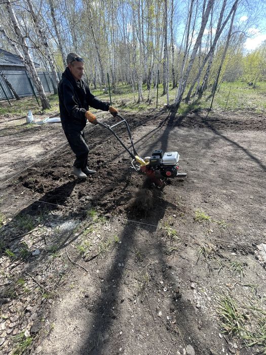 Газон под ключ