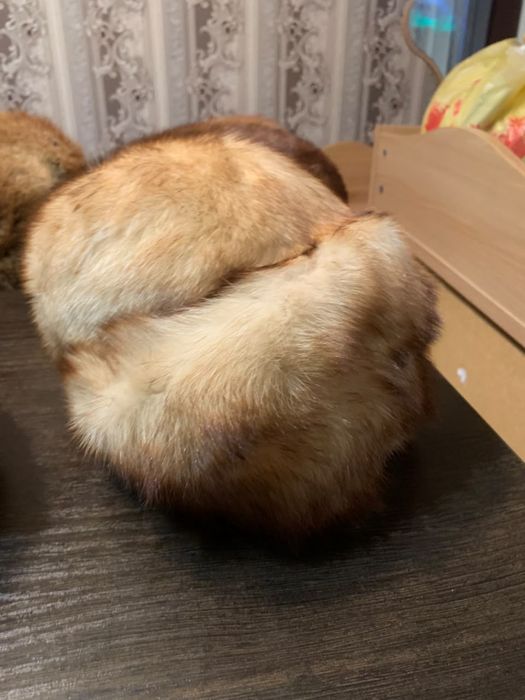 Отдам шапки даром