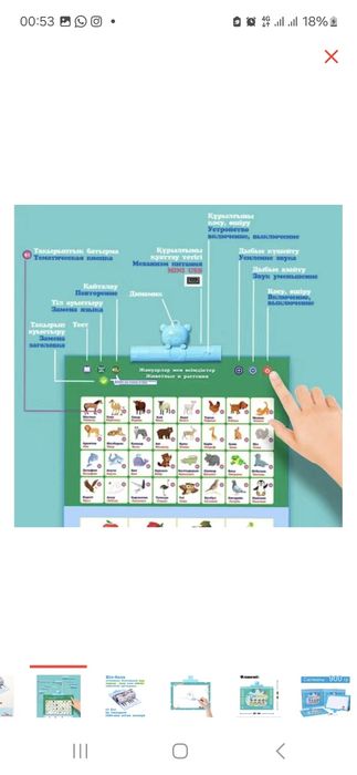 Bil bala дамытушы ойыншықтар