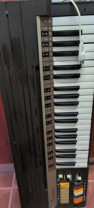 Orga    Bontempi