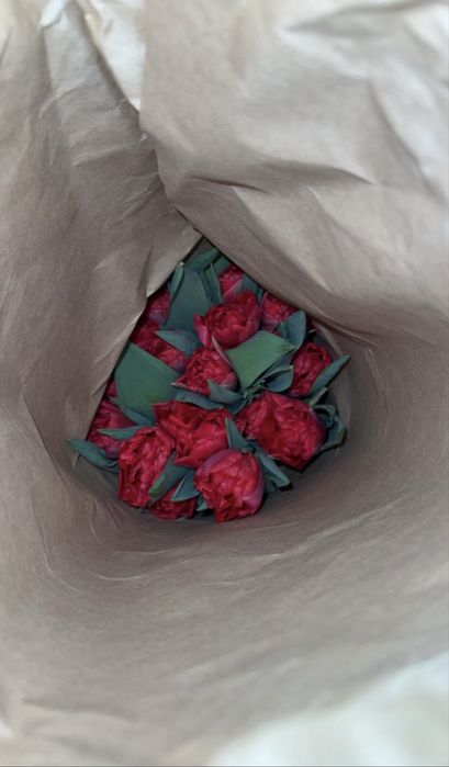 Свежие тюльпаны оптом и в розницу