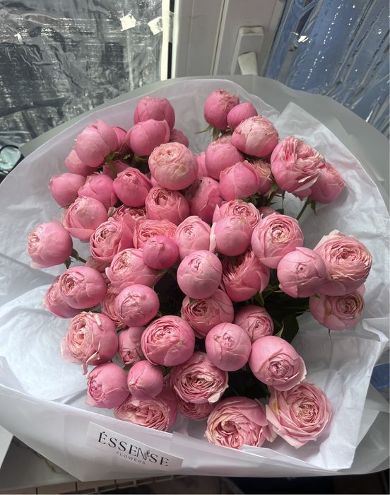пионы