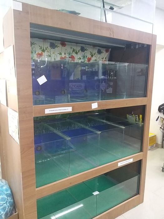 Mobilier cu acvarii & terariu – ideal pentru petshop / crescători / pa