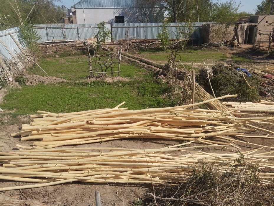 Совут хадалари сотилади ириси 25 мингдан медаси 15 мингдан