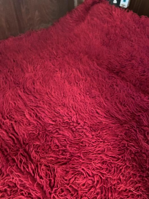 Шарени губери 3 вида