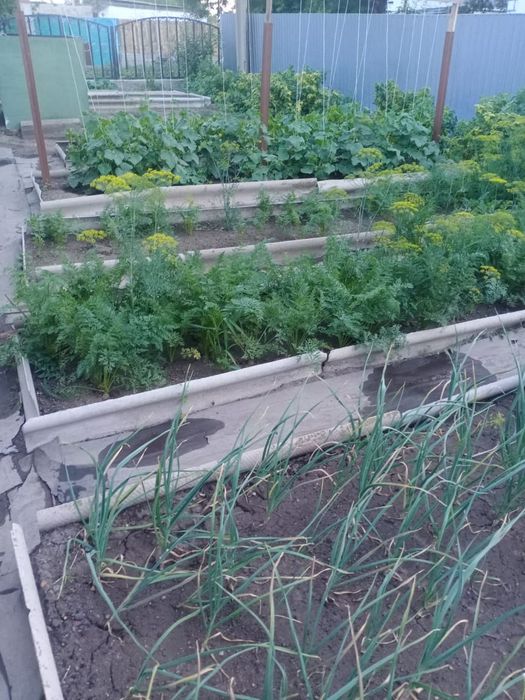 Продам уютный дом