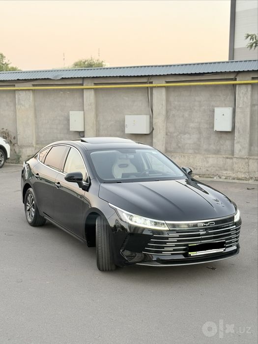 2023  chazor ideal gibrit