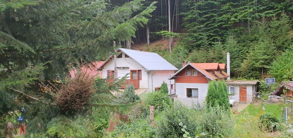 Pensiune P+1,  Cheia/ Prahova