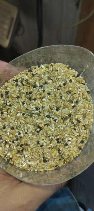 Продам отруби ,зерноотходы.зерно.