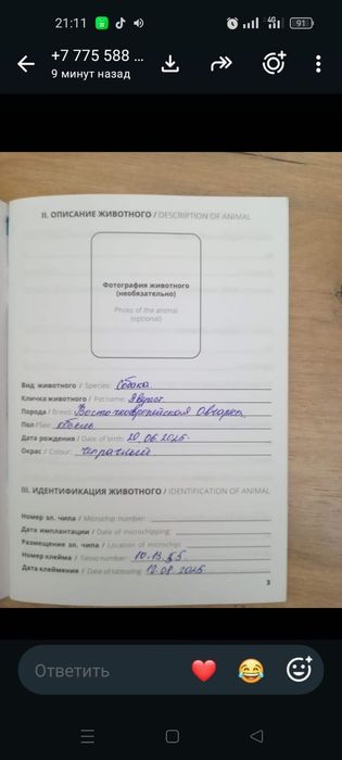 Продам европейскую овчарку!