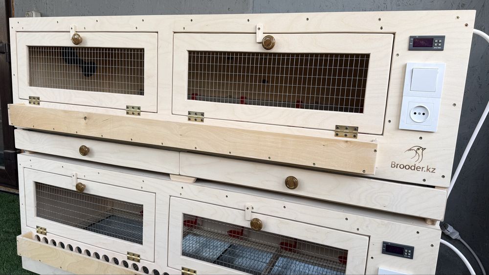 Брудер для выведения птиц